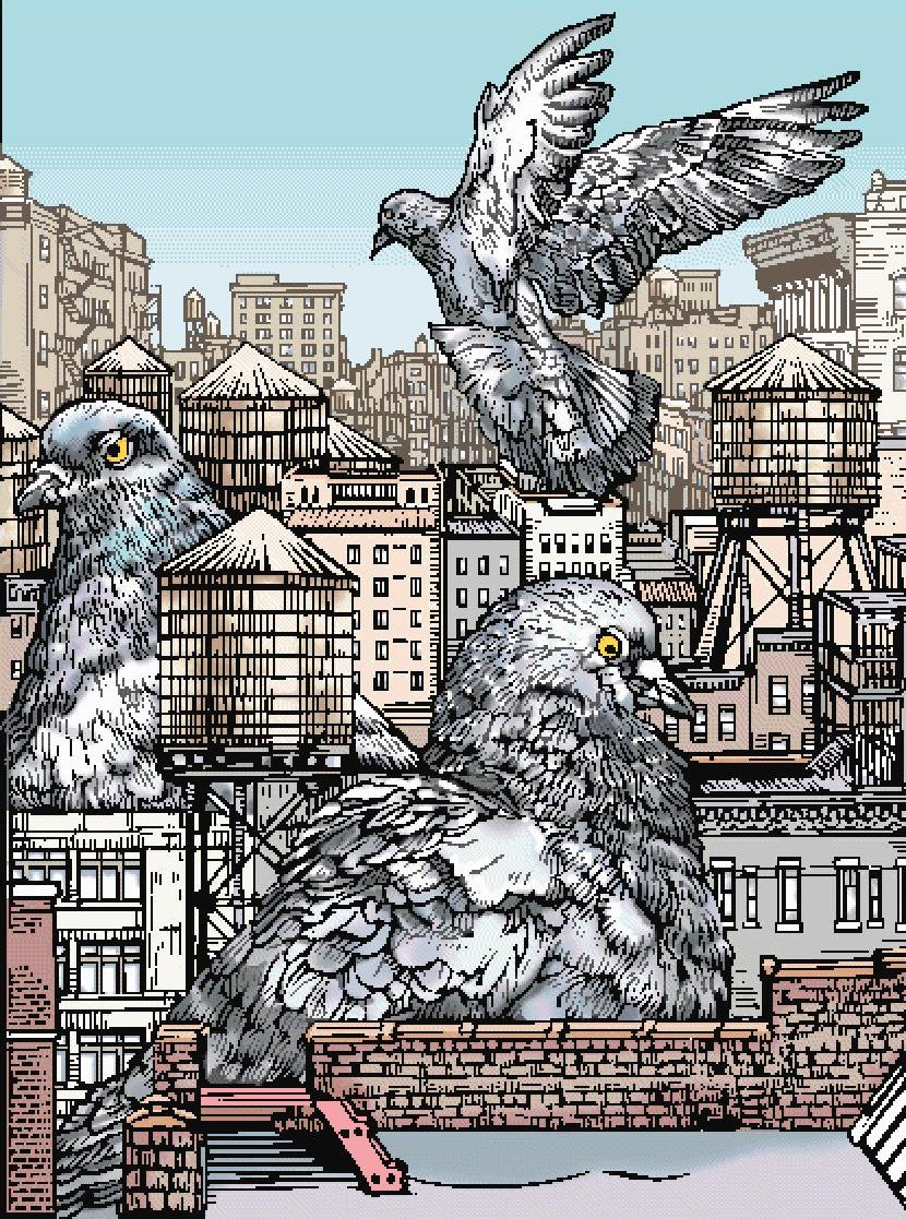 Pigeon Day