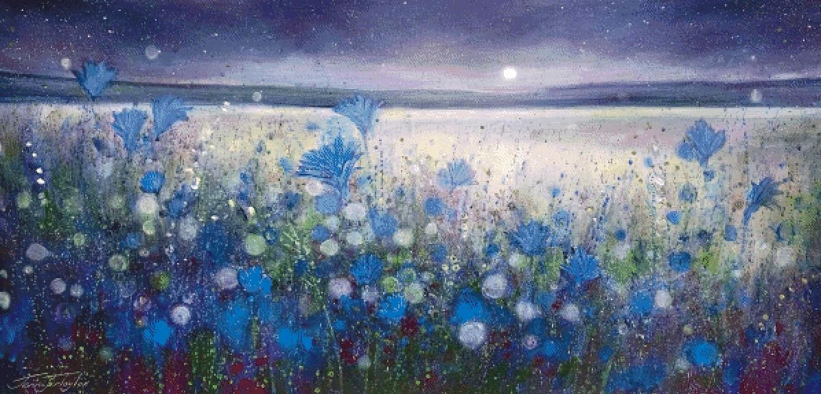 Midnight Moon Dream