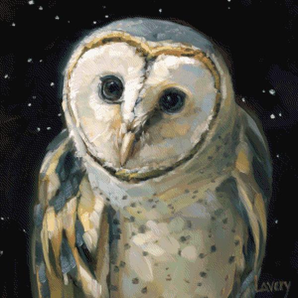 Night Owl MINI