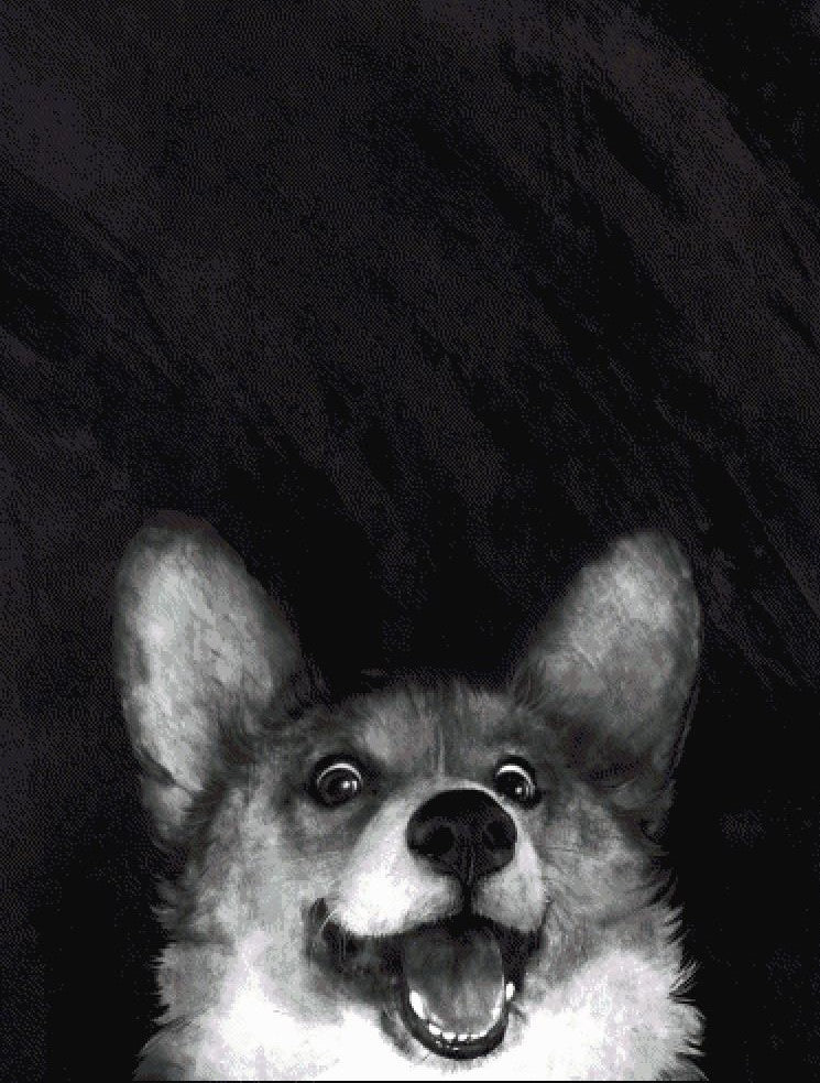Sausage Fox