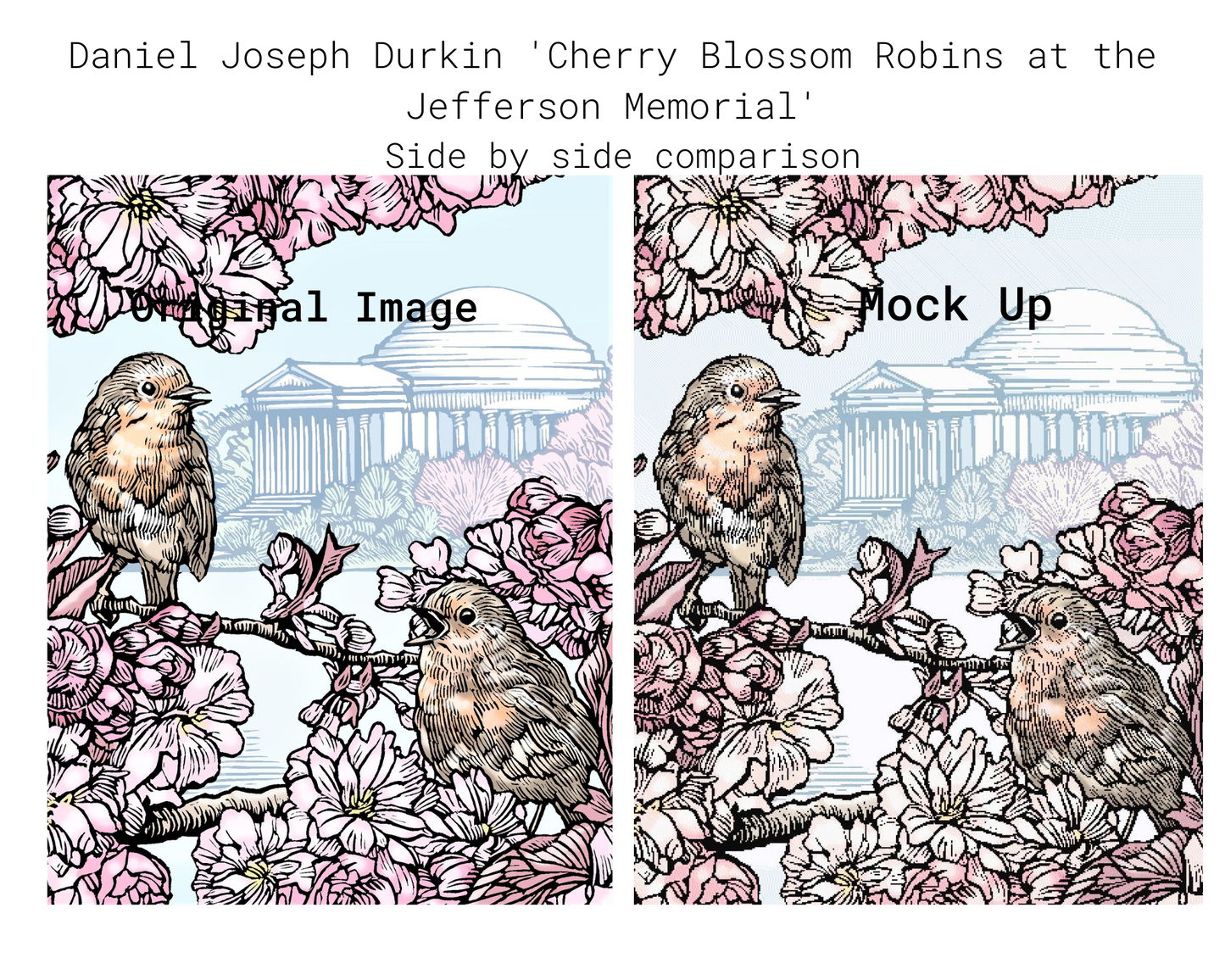 Cherry Blossom Robins at the Jefferson Memorial