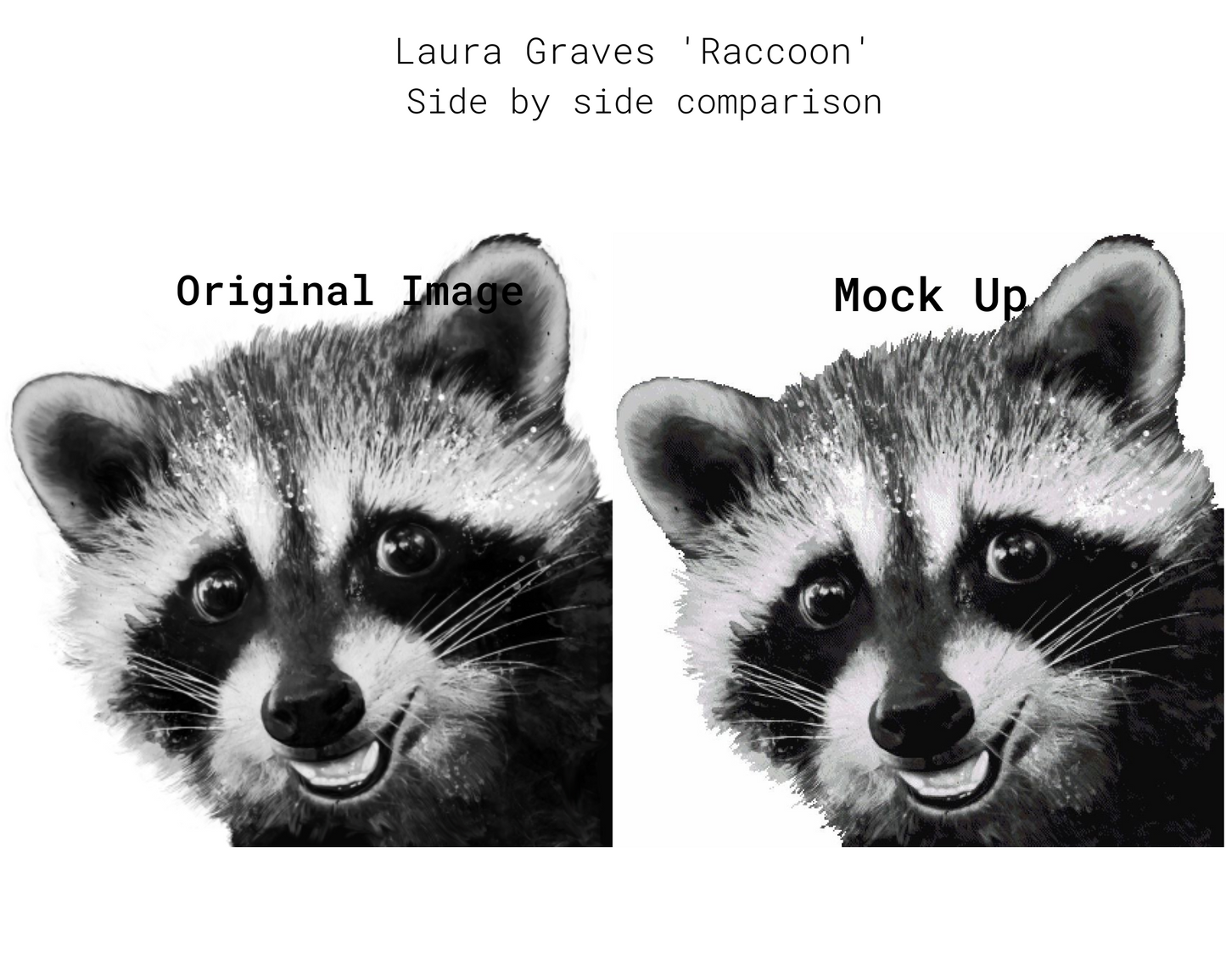 Raccoon