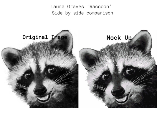 Raccoon