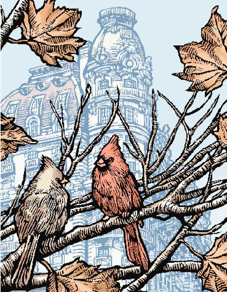 Autumn Cardinals