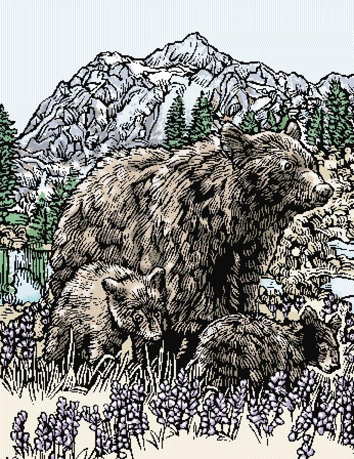 Bear and Cubs
