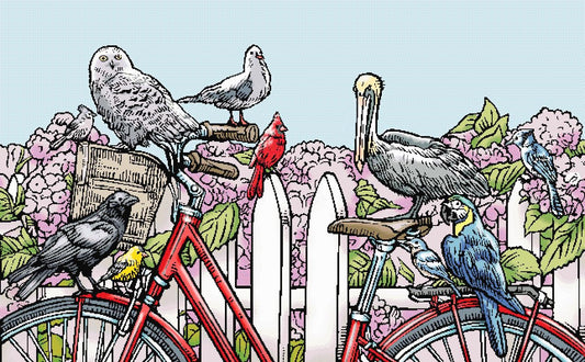 Birds and Bike