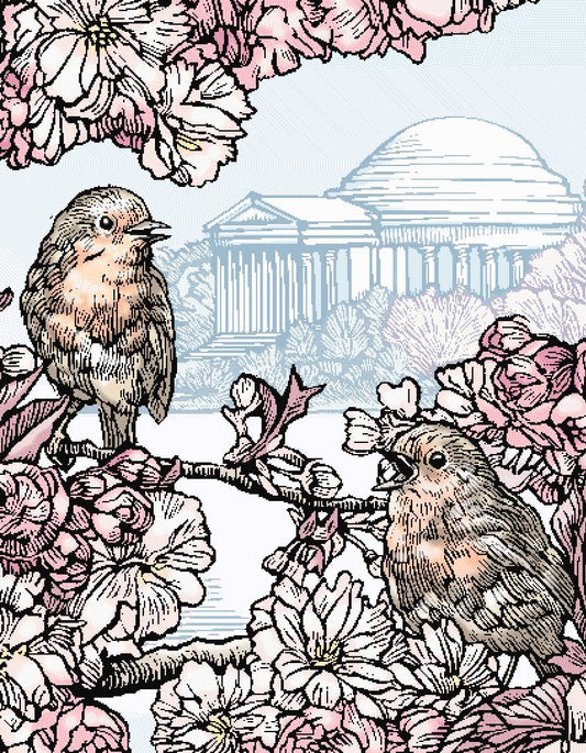 Cherry Blossom Robins at the Jefferson Memorial