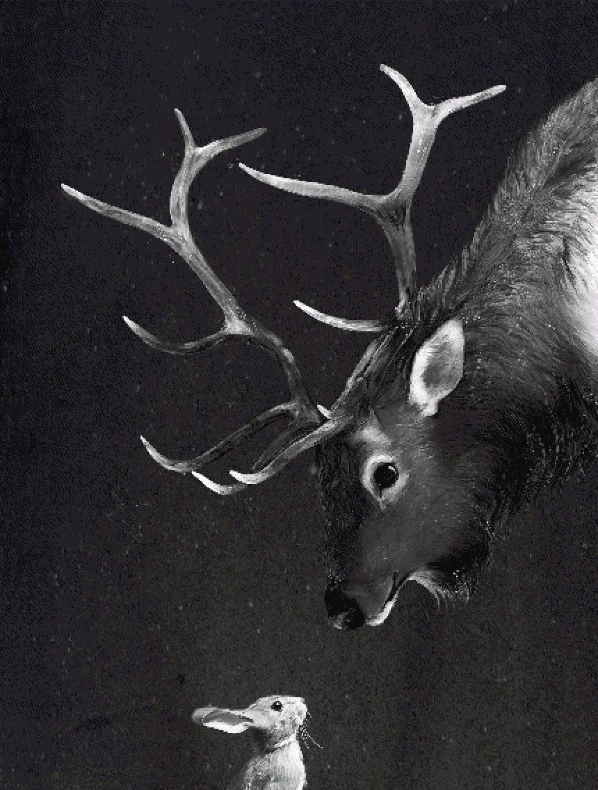 Elk and Rabbit
