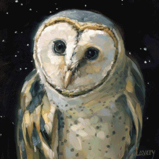 Night Owl MINI
