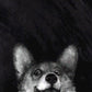 Sausage Fox MINI