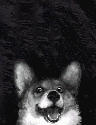 Sausage Fox MINI