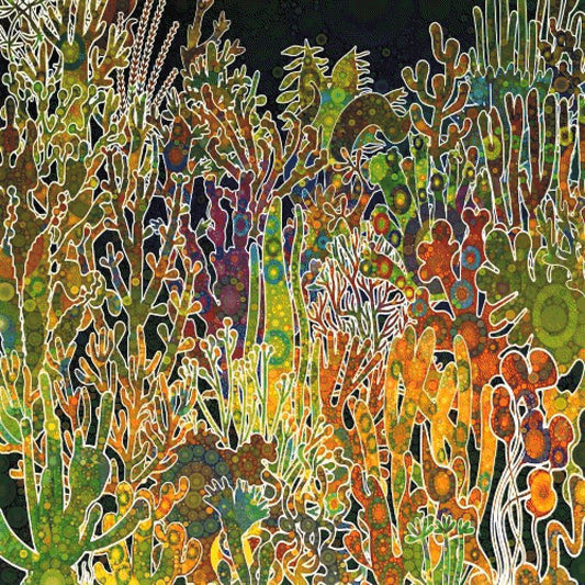 Seaweed Forest