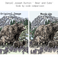 Bear and Cubs