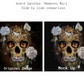 Memento Mori