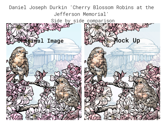 Cherry Blossom Robins at the Jefferson Memorial