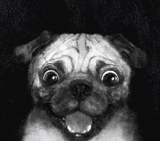 Snuggle Pug MINI