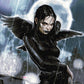 The Crow