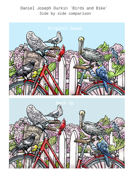 Birds and Bike