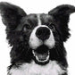 Who's A Good Boy? MINI